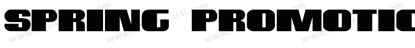 spring promotion字体转换